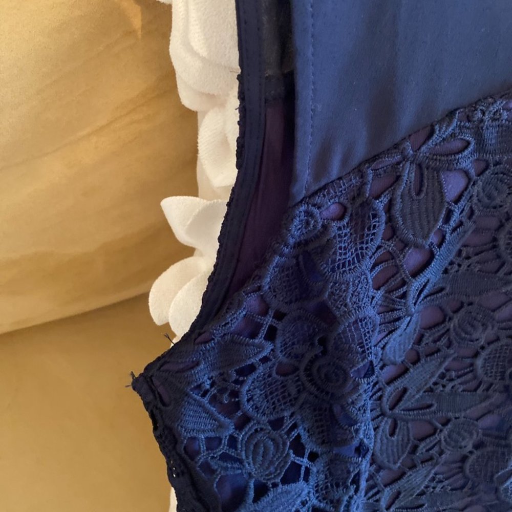 Greylin Navy Ostrich Feather Trim Top from Anthropologie - Picture 4 of 9